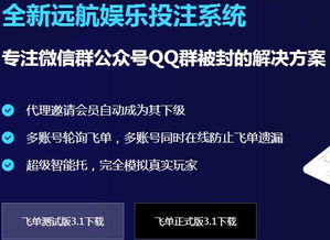 东莞正规公司精品站服务 提升您的互联网信息服务体验